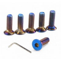 [Decorative screws M5 15mm Neochrome]