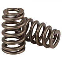 [Beehive spring kit Ford/Mazda Duratec 2.0-2.5]