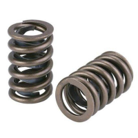 [Valve spring kit Audi 4.2L 40pcs]
