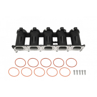 [Casting Intake manifold runners Audi 2.5 TFSI AUDI RS3]
