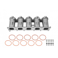 [Casting Intake manifold runners Audi 2.5 TFSI AUDI RS3]