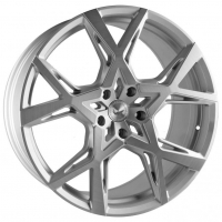 [BARRACUDA PROJECT X - SILVER-BRUSHED-SURFACE]