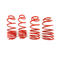 [Znížene pružiny - Performance Springs MTSXVW177]