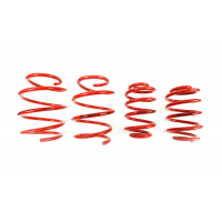[Znížene pružiny - Performance Springs MTSXBM136]