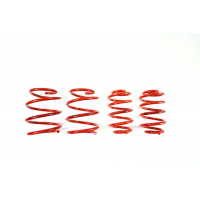 [Znížene pružiny - Performance Springs MTSXBM129]