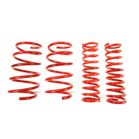 [Znížene pružiny - Performance Springs MTSXBM138]