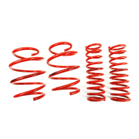 [Znížene pružiny - Performance Springs MTSXBM140]