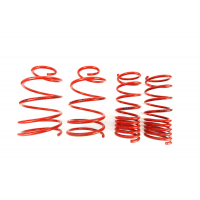 [Znížene pružiny - Performance Springs MTSXFI055]