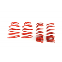 [Znížene pružiny - Performance Springs MTSXHO061]