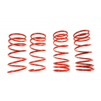 [Znížene pružiny - Performance Springs MTSXSK115]