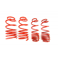 [Znížene pružiny - Performance Springs MTSXVW202]