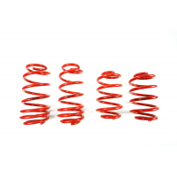 [Znížene pružiny - Performance Springs MTSXVW222]