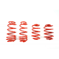 [Znížene pružiny - Performance Springs MTSXVW219]