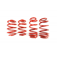 [Znížene pružiny - Performance Springs MTSXVW407]