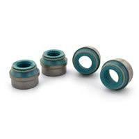[Obr.: 10/56/26/7-valve-seal-kit-audi-v8-40v-4.2l-audi-a8-s4-rs6-2003-2008-8-pcs-1696470116.jpg]