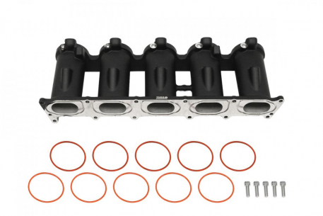 [Obr.: 10/59/43/2-casting-intake-manifold-runners-audi-2.5-tfsi-audi-rs3-1696477263.jpg]