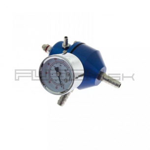 [Obr.: 29/36/25-regulator-tlaku-paliva-universal-fpr04-blue.jpg]