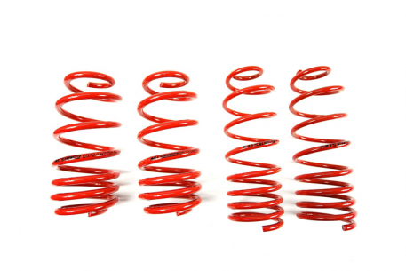 [Obr.: 95/47/55-znizene-pruziny-performance-springs-mtsxau284-1686848124.jpg]