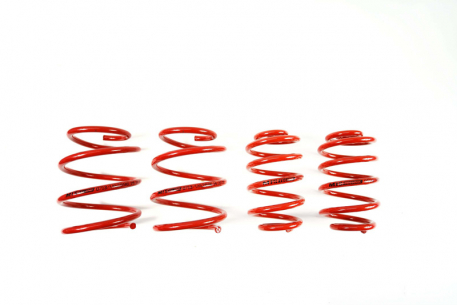 [Obr.: 95/50/70-znizene-pruziny-performance-springs-mtsxbm129-1686848129.jpg]
