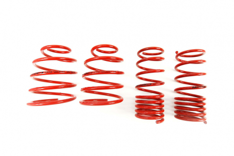 [Obr.: 95/55/81-znizene-pruziny-performance-springs-mtsxfo008-1686848143.jpg]