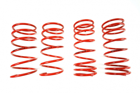 [Obr.: 95/60/16-znizene-pruziny-performance-springs-mtsxmb184-1686848161.jpg]