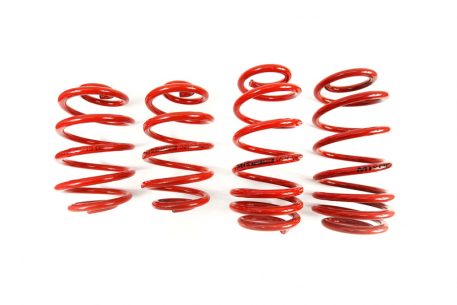 [Obr.: 95/75/71-znizene-pruziny-performance-springs-mtsxvw383-1686848207.jpg]
